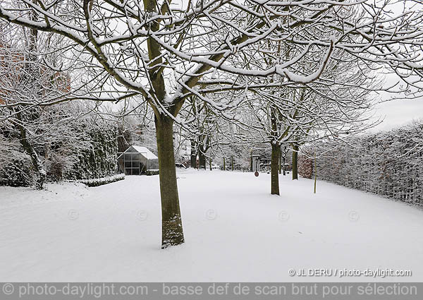 jardin sous la neige